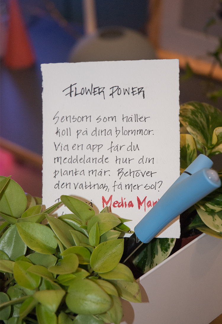 Mediamarkt Parrot Flower Power bevattningssensor Foto: Annika Rådlund